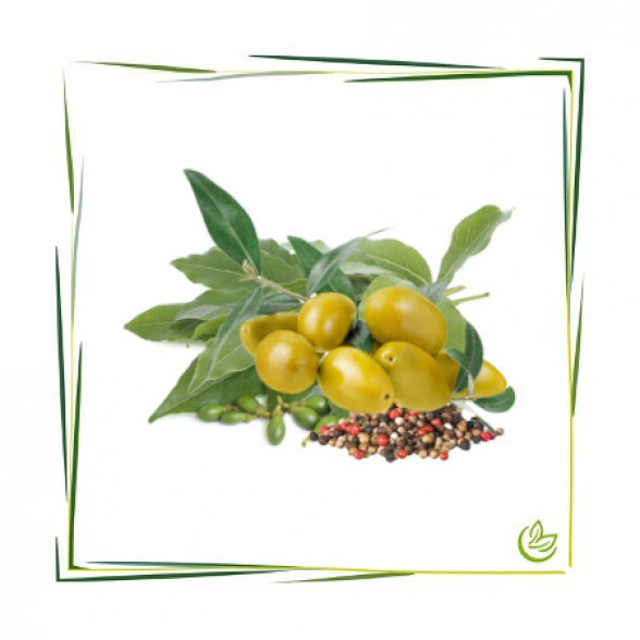 Parfümöl Spices & Olive 100 ml